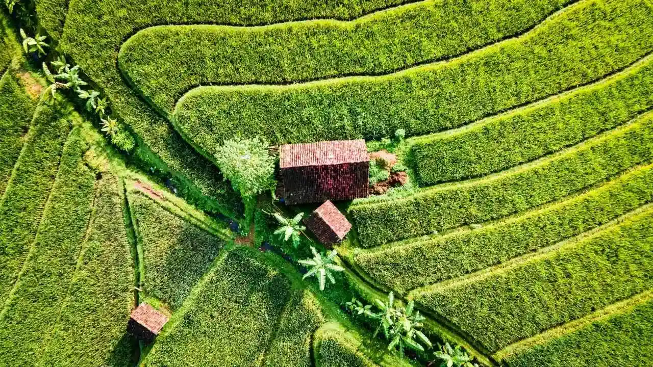 Indonesian village. Canva/TGX